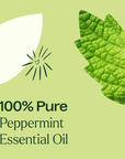 Plant Therapy Peppermint Essential Oil
