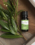 Plant Therapy Lemon Myrtle Essential Oil