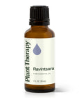 Plant Therapy Ravintsara Essential Oil