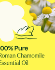 Plant Therapy Chamomile Roman Essential Oil