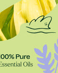 Plant Therapy Sleep Aid Essential Oil Blend