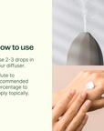 Plant Therapy Sleep Easy Essential Oil Blend Set
