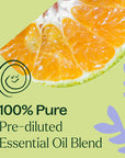 Plant Therapy Sleep Tight Essential Oil Blend