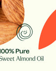 Plant Therapy Almond Sweet Carrier Oil