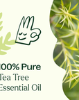 Plant Therapy Tea Tree Essential Oil