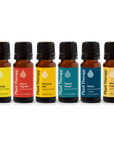 Plant Therapy Top 6 Blends Set