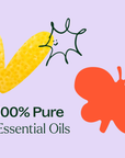 Plant Therapy Top 6 Blends Set