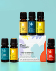 Plant Therapy Top 6 Blends Set