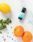 Plant Therapy Travel™ Essential Oil Blend 10ml