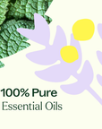 Plant Therapy True Expression (Throat Chakra) Essential Oil