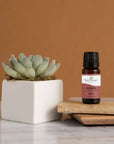 Plant Therapy Amyris Essential Oil