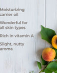 Plant Therapy Apricot Kernel Carrier Oil