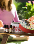 Plant Therapy Chakra Synergies Essential Oil Set
