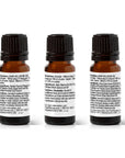 Plant Therapy Christmas Traditions Essential Oil Blend 3 Set