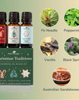 Plant Therapy Christmas Traditions Essential Oil Blend 3 Set
