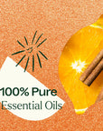 Plant Therapy Citrus & Cinnamon Essential Oil Blend
