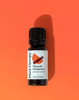 Plant Therapy Citrus & Cinnamon Essential Oil Blend