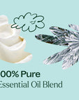 Plant Therapy Frosted Dream Essential Oil Blend