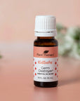 Plant Therapy Germ Destroyer KidSafe Essential Oil