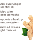Plant Therapy Ginger Essential Oil