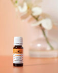 Plant Therapy Immune Boom KidSafe Essential Oil