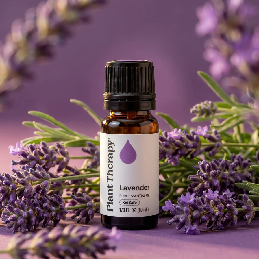 Plant Therapy Lavender Essential Oil – OilyPod