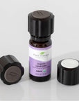 Plant Therapy Passive Diffuser Cap 3-Pack