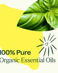 Plant Therapy Organic Lemon Basil Essential Oil Blend