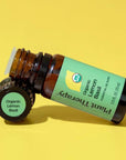 Plant Therapy Organic Lemon Basil Essential Oil Blend