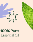Plant Therapy Respir Aid Essential Oil Blend
