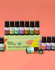 Plant Therapy Top 14 Organic Singles Set