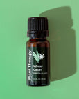 Plant Therapy Winter Cabin Essential Oil Blend