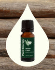 Plant Therapy Winter Cabin Essential Oil Blend