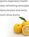 Plant Therapy Yuzu Essential Oil