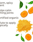 Plant Therapy Turmeric CO2 Extract Organic