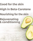 Plant Therapy Avocado Carrier Oil