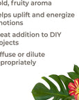 Plant Therapy Tropical Passion Essential Oil Blend