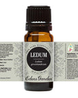 Ledum Essential Oil 10ml - OilyPod