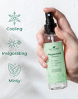 Plant Therapy Peppermint Hydrosol