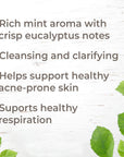 Plant Therapy Balm Mint Bush Essential Oil - OilyPod