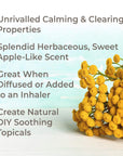 Plant Therapy Blue Tansy Organic Essential Oil - OilyPod