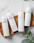 Plant Therapy Body Lotion with Aloe and Shea 8 oz - OilyPod
