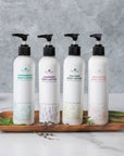 Plant Therapy Body Lotion with Aloe and Shea 8 oz - OilyPod
