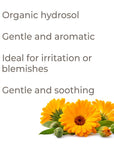 Plant Therapy Calendula Organic Hydrosol - OilyPod