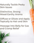 Plant Therapy Carrot Seed Essential Oil - OilyPod