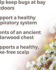 Plant Therapy Cedarwood Atlas Essential Oil - OilyPod