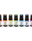 Plant Therapy Chakra Synergies Essential Oil Set - OilyPod