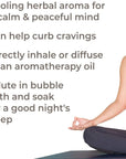 Plant Therapy Chill Out Essential Oil Blend - OilyPod