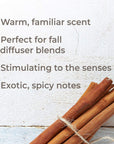 Plant Therapy Cinnamon Cassia Essential Oil - OilyPod
