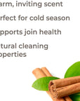 Plant Therapy Cinnamon Leaf Essential Oil - OilyPod